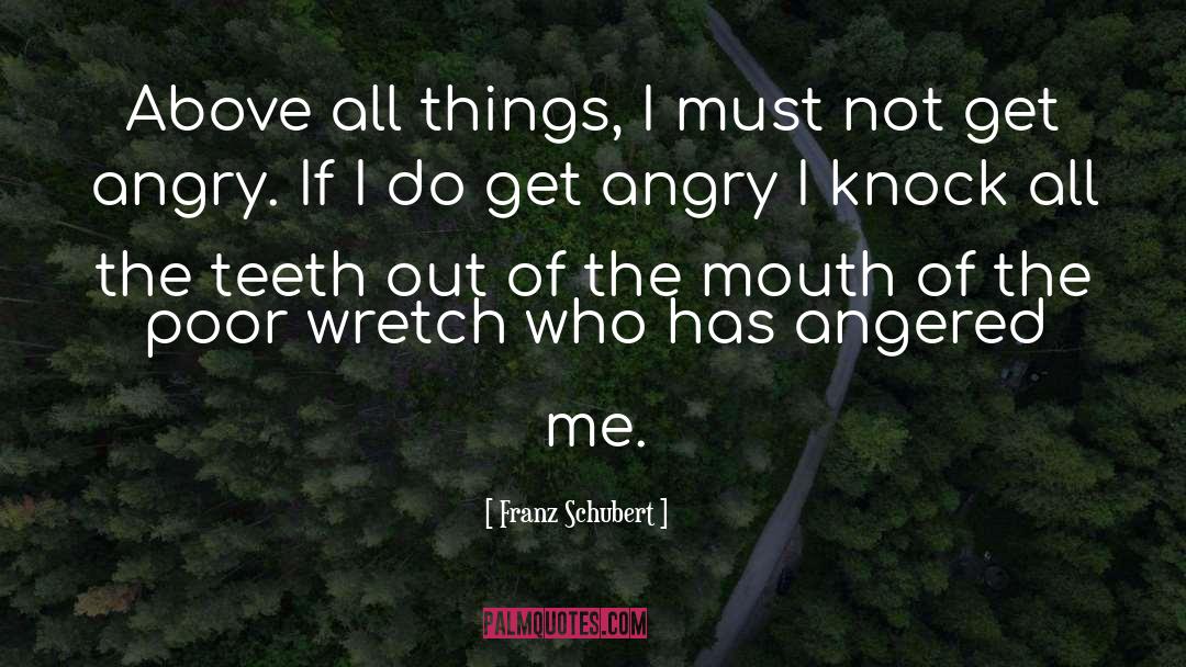 Wretch quotes by Franz Schubert