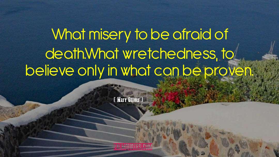 Wretchedness quotes by Mary Oliver