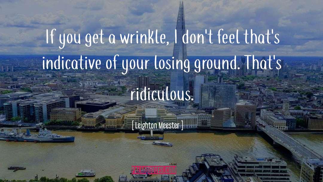 Wrinkle quotes by Leighton Meester