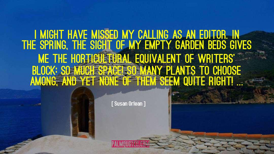 Writer 27s Block quotes by Susan Orlean