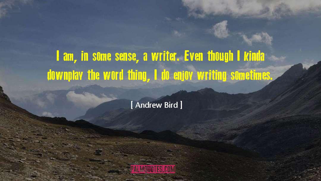 Writer Inspiration quotes by Andrew Bird