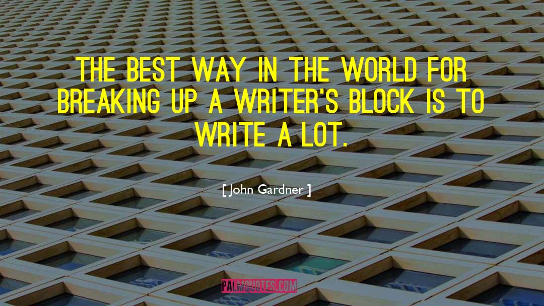 Writer S Techniques quotes by John Gardner