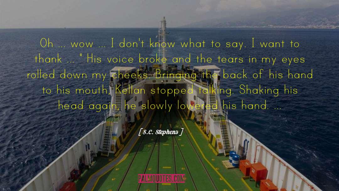 Writer S Voice quotes by S.C. Stephens