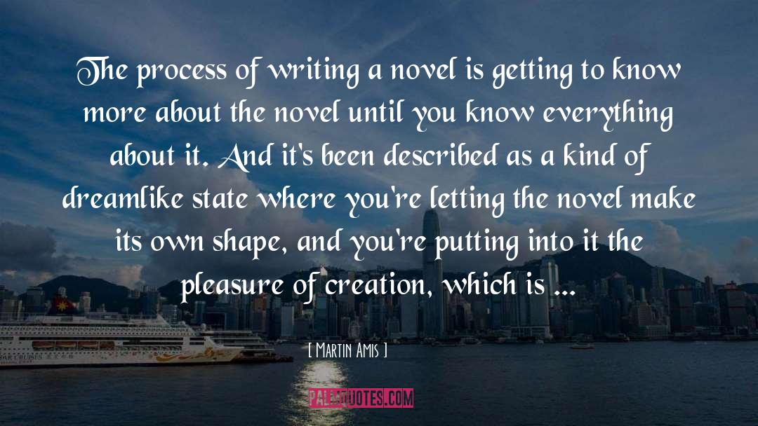 Writing A Novel quotes by Martin Amis