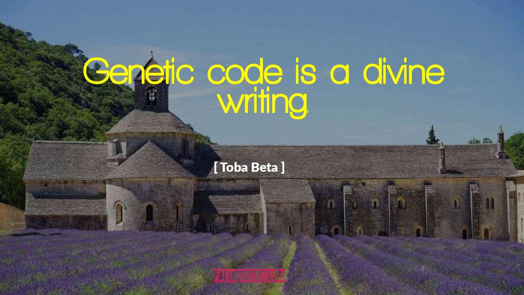 Writing Code quotes by Toba Beta