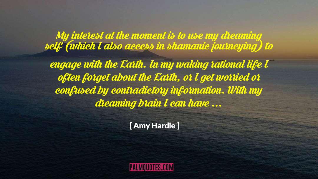 Writing Dreaming quotes by Amy Hardie