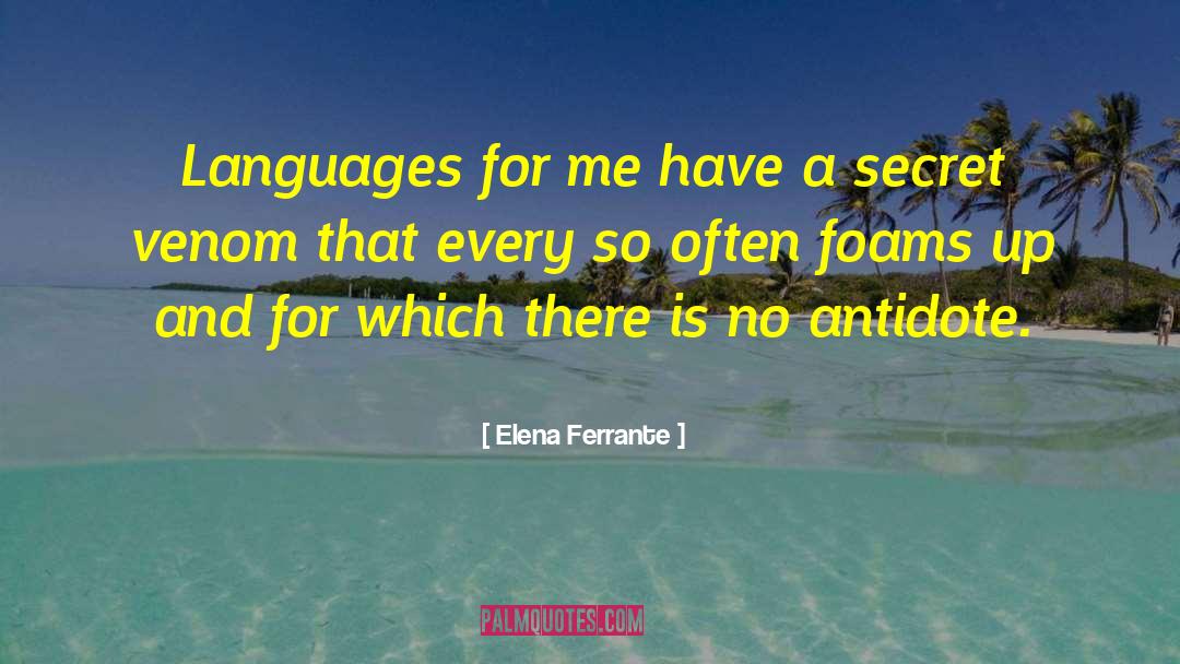 Writing Lesson quotes by Elena Ferrante