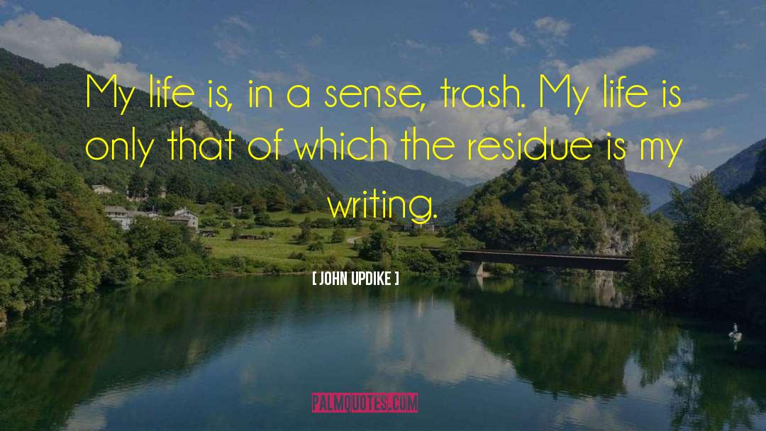 Writing Life quotes by John Updike