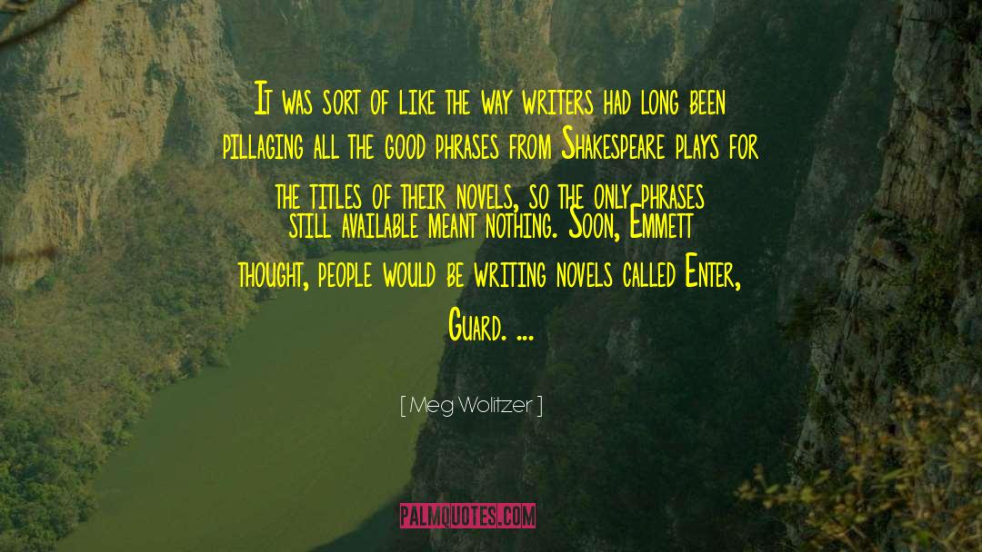 Writing Novels quotes by Meg Wolitzer
