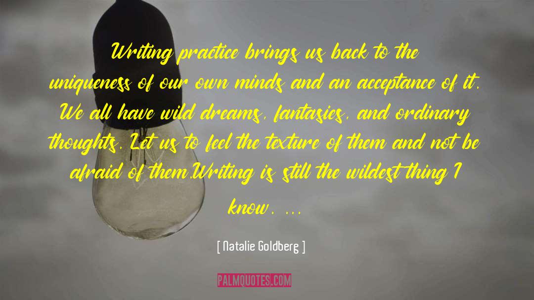 Writing Practice quotes by Natalie Goldberg