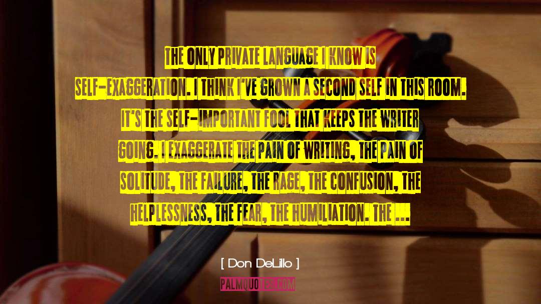 Writing Tools quotes by Don DeLillo