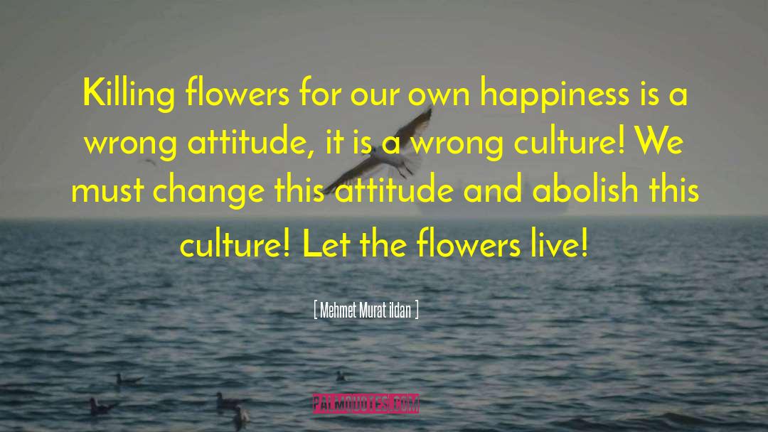 Wrong Attitude quotes by Mehmet Murat Ildan