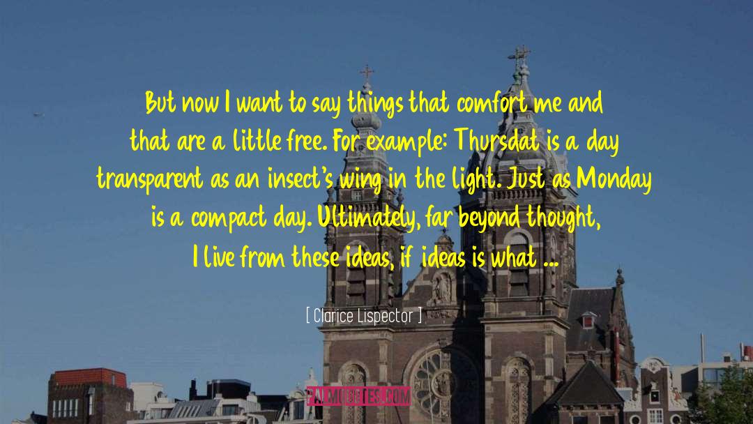 Wrong Ideas quotes by Clarice Lispector