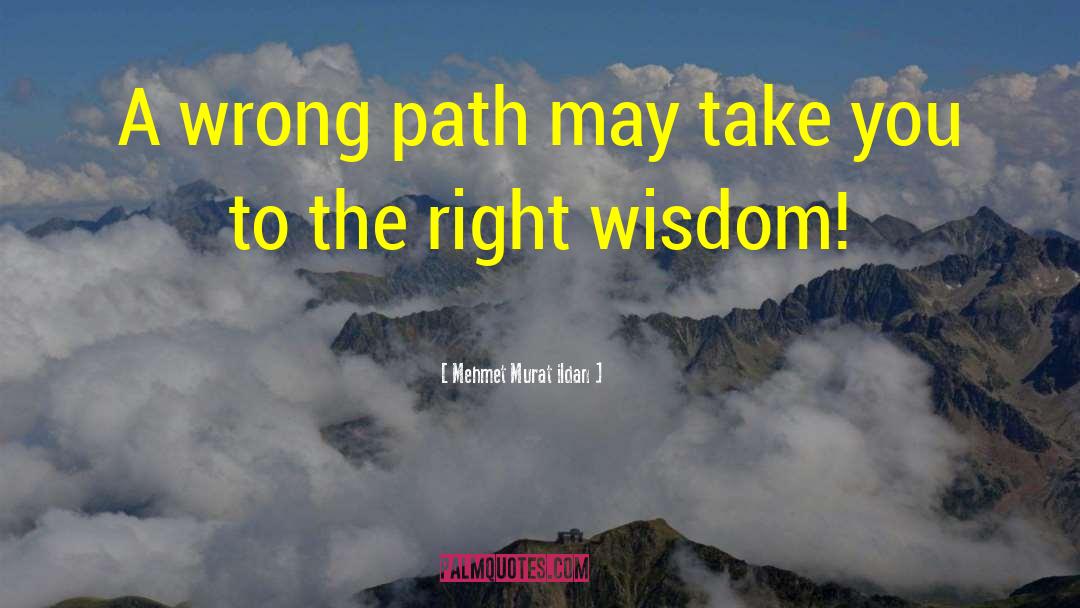 Wrong Path quotes by Mehmet Murat Ildan