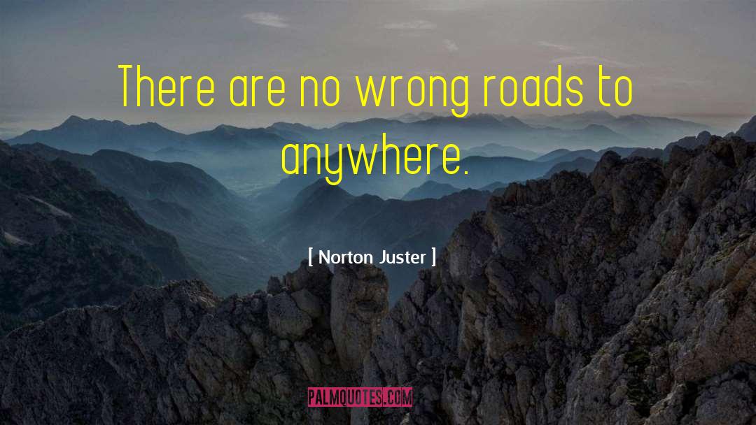 Wrong Road quotes by Norton Juster