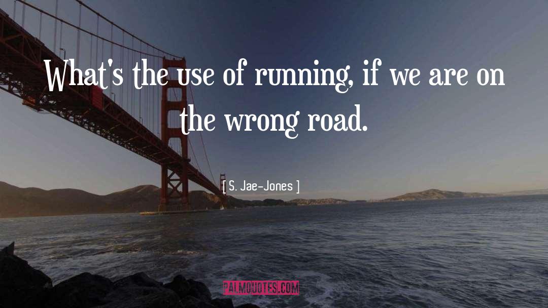 Wrong Road quotes by S. Jae-Jones