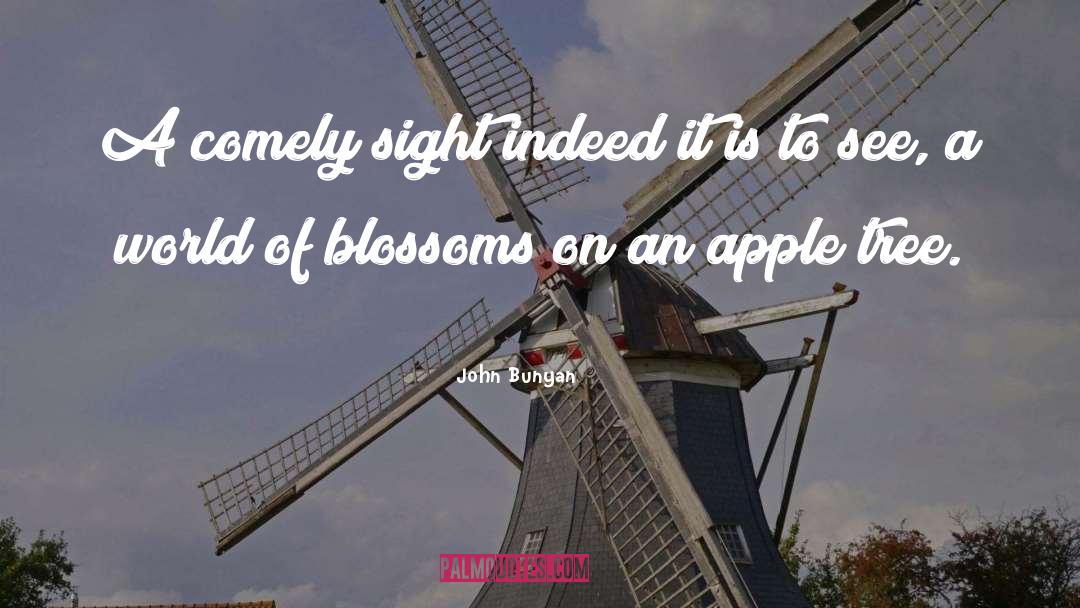 Wroughten Apples quotes by John Bunyan