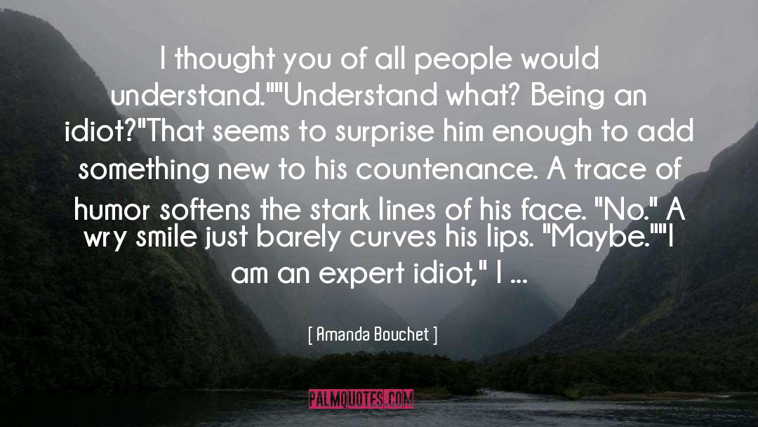 Wry Smile quotes by Amanda Bouchet