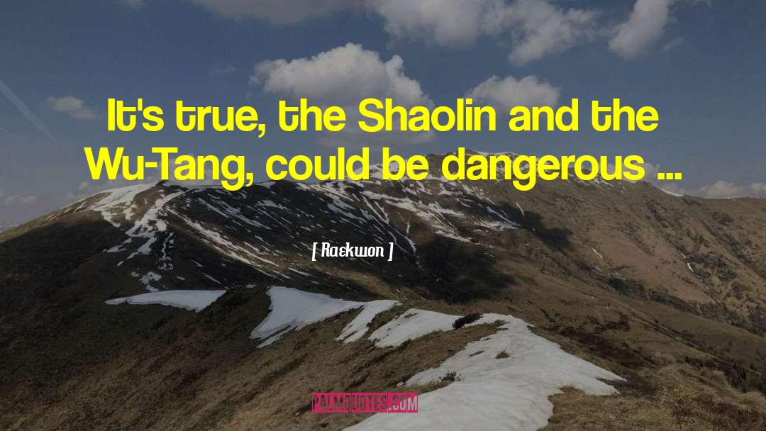 Wu Tang Clan quotes by Raekwon