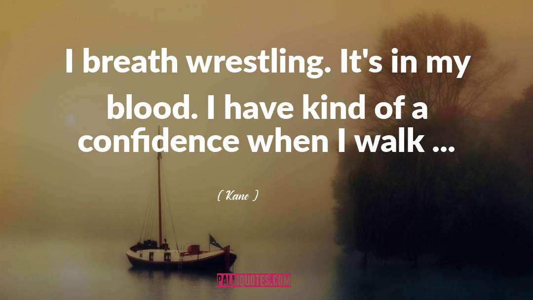 Wwe quotes by Kane