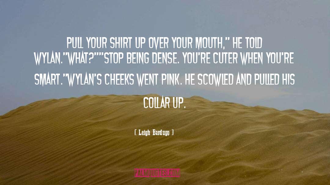 Wylan Van Eck quotes by Leigh Bardugo