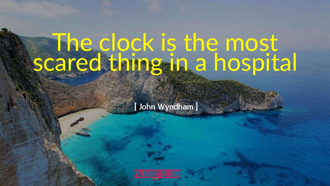 Wyndham quotes by John Wyndham