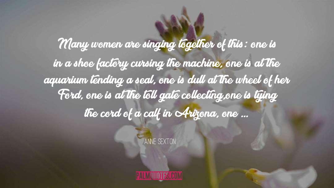 Wyoming quotes by Anne Sexton