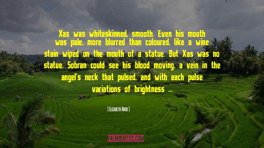 Xas quotes by Elizabeth Knox