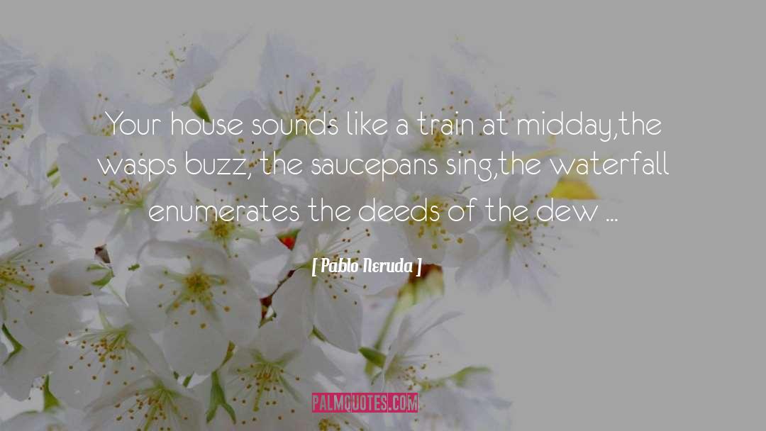 Ximenez Waterfalls quotes by Pablo Neruda