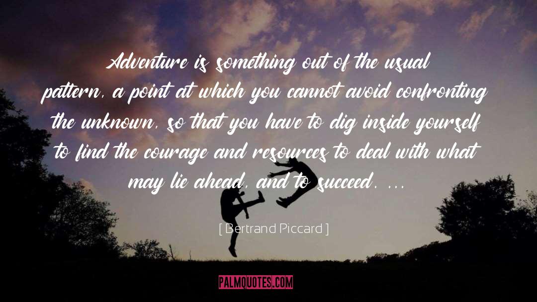 Ya Adventure quotes by Bertrand Piccard