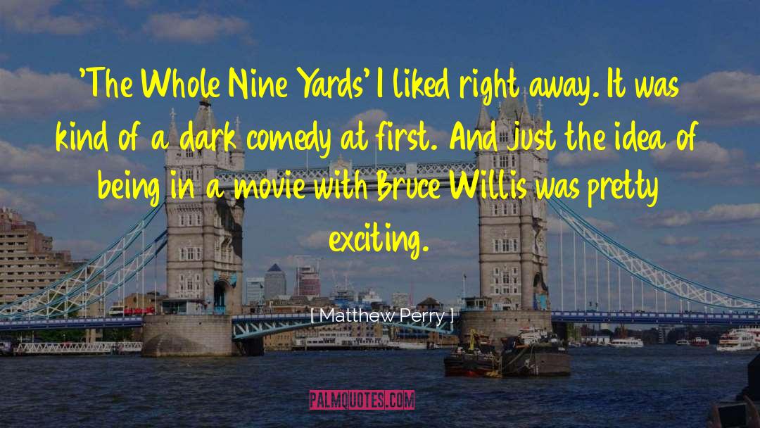 Ya Dark Comedy quotes by Matthew Perry