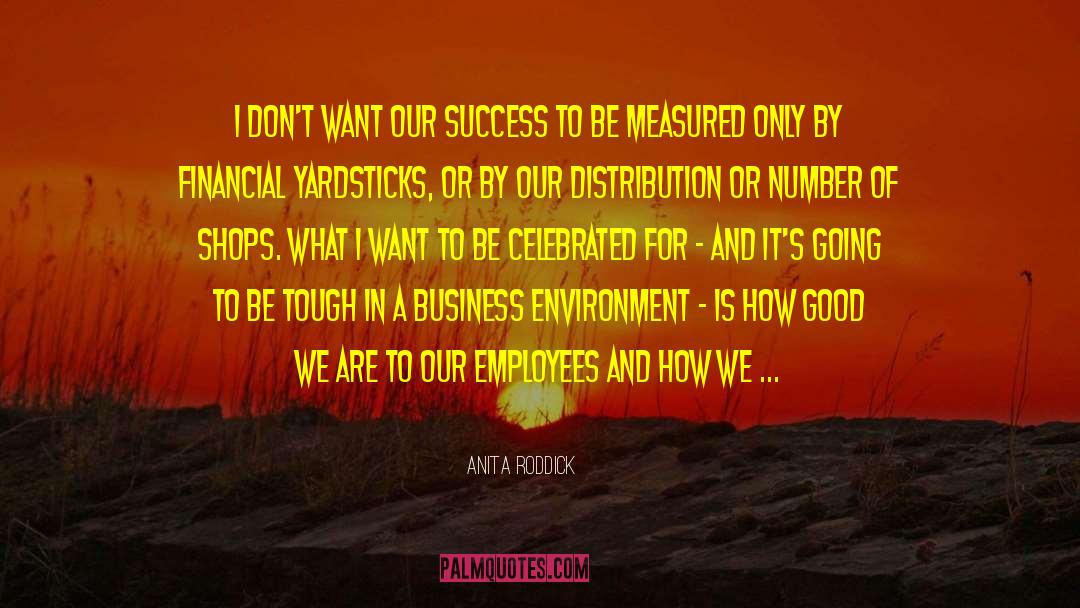 Yardsticks quotes by Anita Roddick