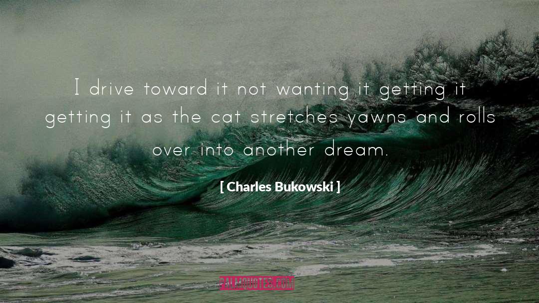 Yawns quotes by Charles Bukowski
