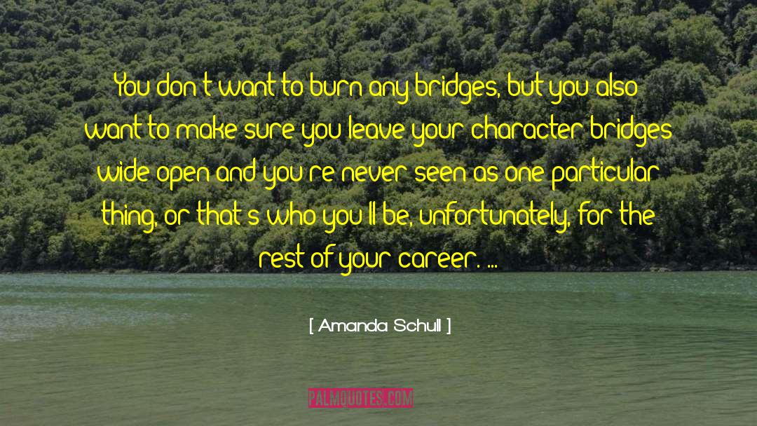 Yay Character Introductions quotes by Amanda Schull