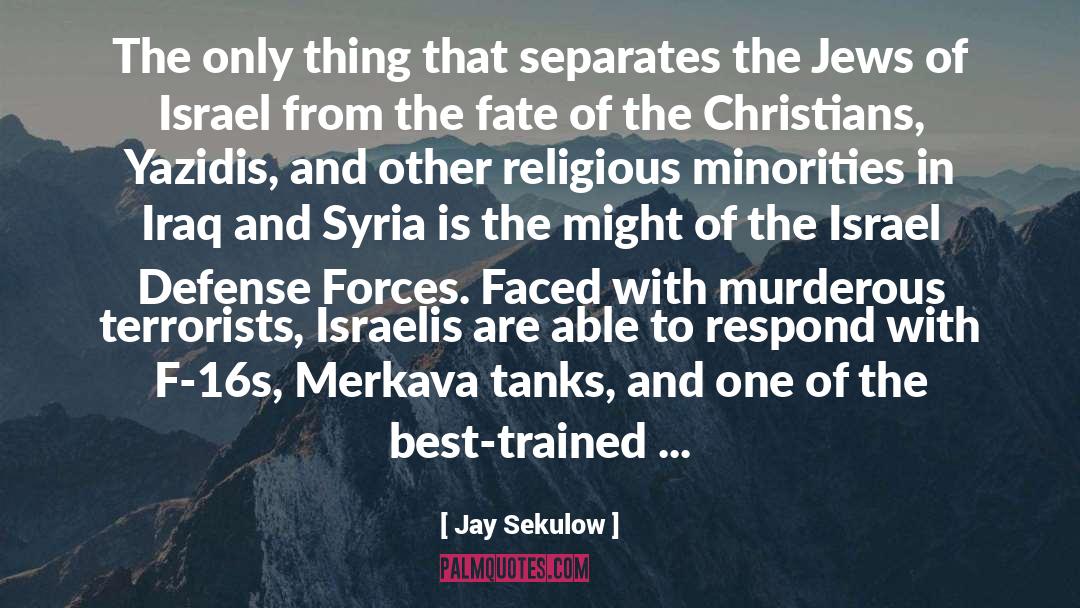Yazidis quotes by Jay Sekulow