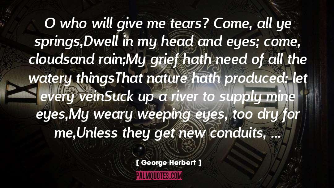 Ye Weary Wayfarer quotes by George Herbert