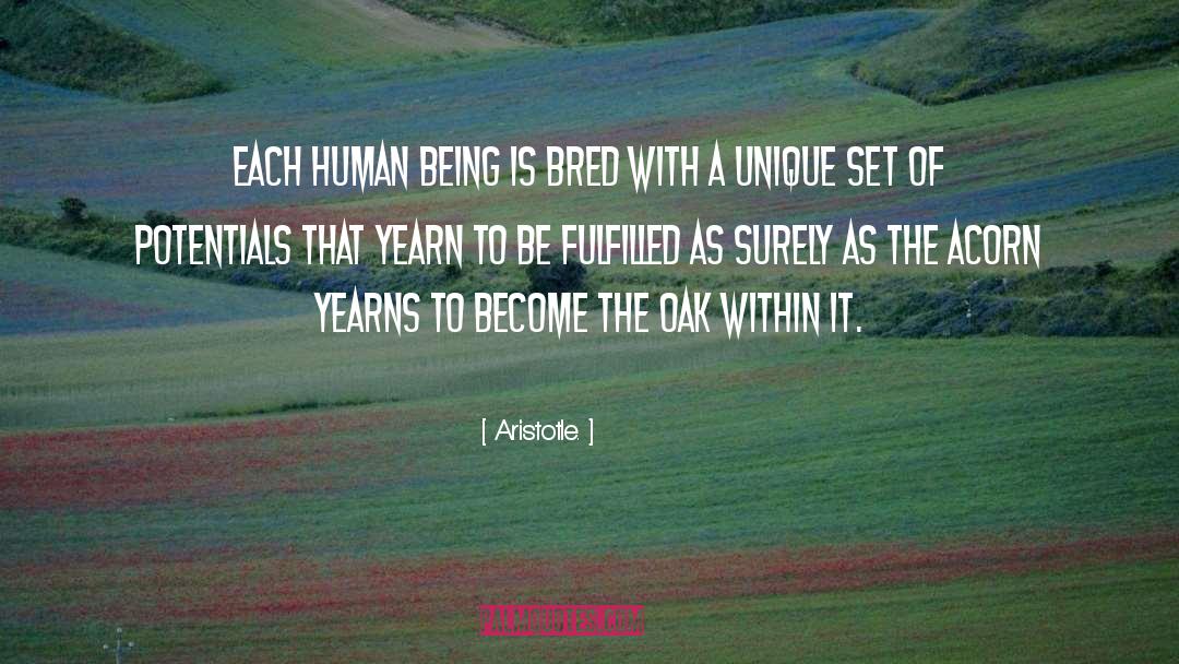 Yearn quotes by Aristotle.