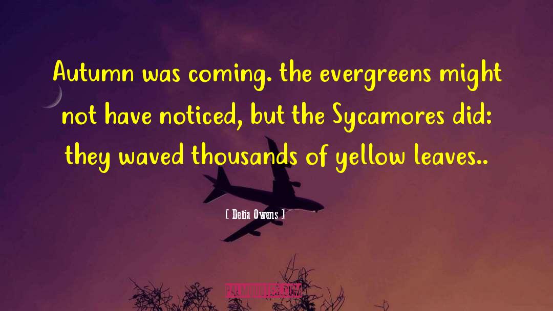 Yellow Leaves quotes by Delia Owens