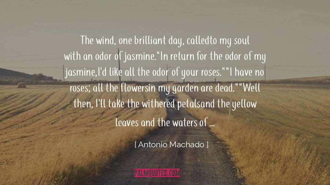 Yellow Leaves quotes by Antonio Machado