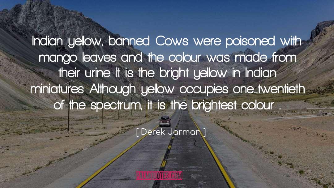 Yellow Leaves quotes by Derek Jarman