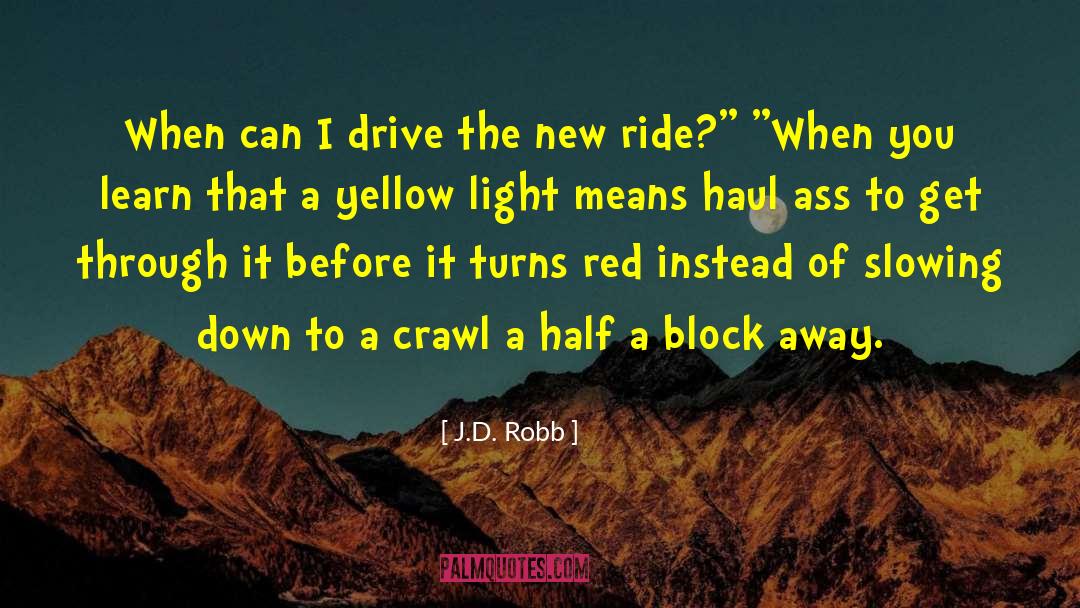 Yellow Light quotes by J.D. Robb