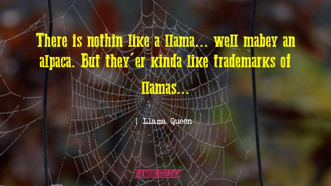 Yerania Llamas quotes by Llama Queen