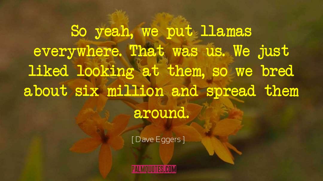 Yerania Llamas quotes by Dave Eggers