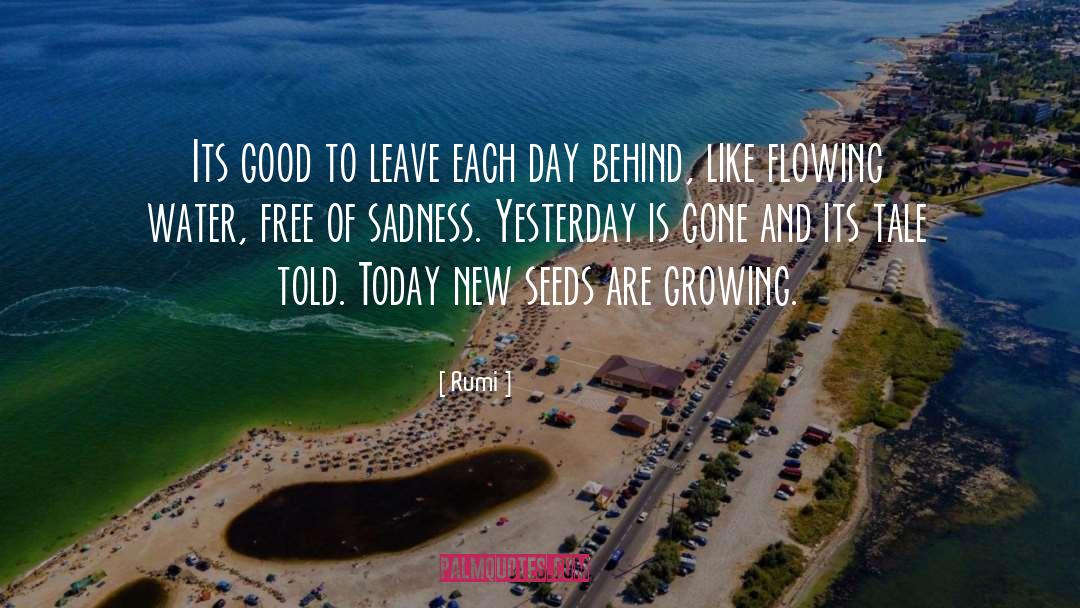 Yesterday Is Gone quotes by Rumi