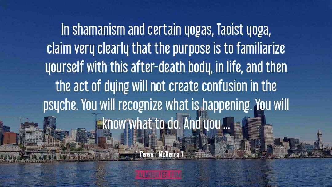 Yoga quotes by Terence McKenna