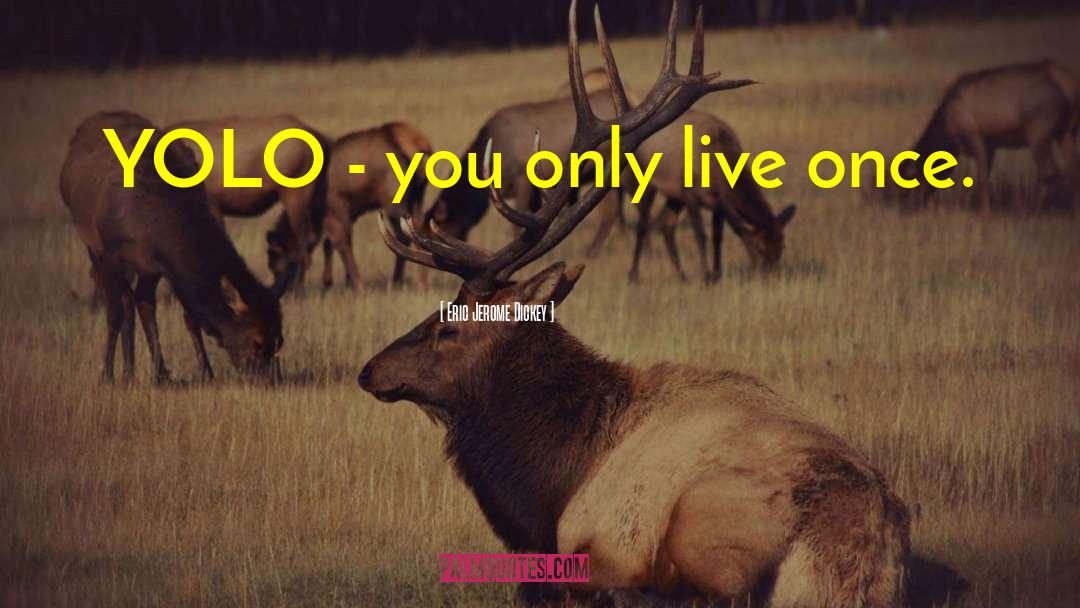Yolo quotes by Eric Jerome Dickey