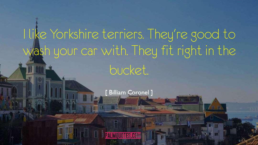 Yorkshire quotes by Billiam Coronel