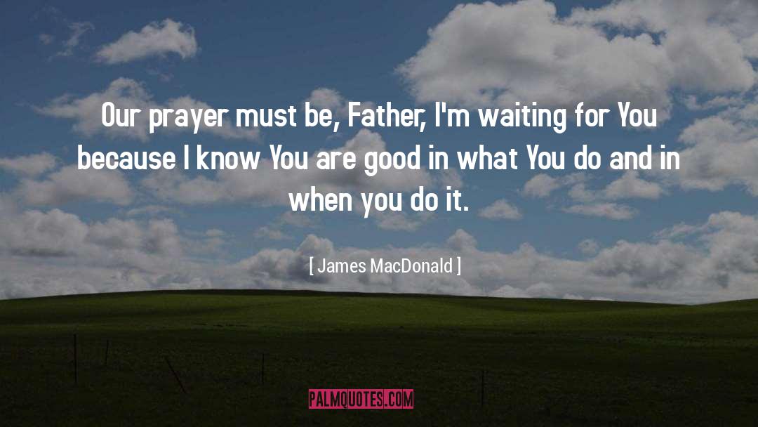 You Are Good quotes by James MacDonald