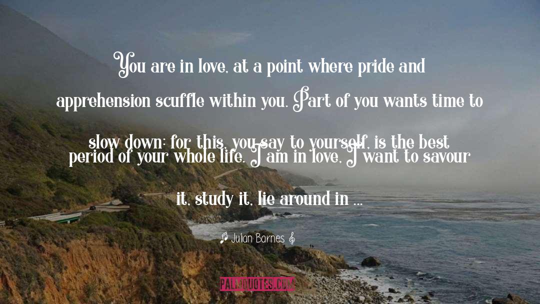 You Are In Love quotes by Julian Barnes