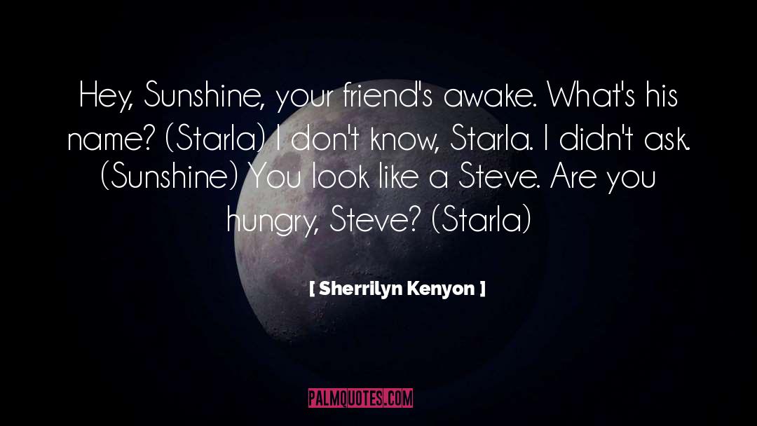 You Are Like A Ray Of Sunshine quotes by Sherrilyn Kenyon